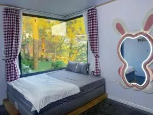 Phòng săn mây -bunglow nhà thông - Bắc Kạn