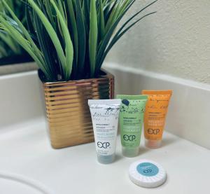 WINTER RATES! Stunning Oceanfront Suite w Jetted tub! B 733