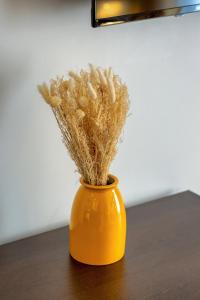 LAuréa au centre de Rouen