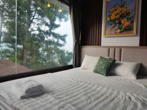 Mimosa 228-phòng săn mây