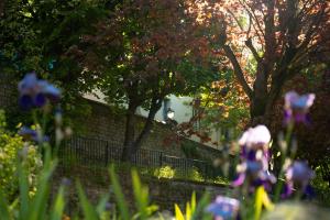 Appartements Divine Couture - Suite Victoire : photos des chambres