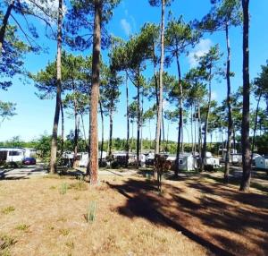 Les Dunes de Contis 4 étoiles à St Julien en Born emplacement 490 3CH 1SDB 6 personnes
