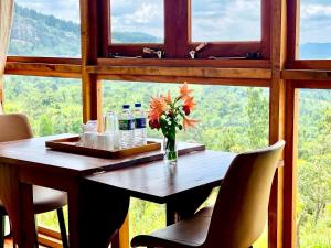 The Misty Cabins - Bellwood