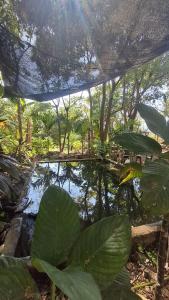 Hostal and camping Huellitas Ometepe