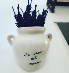 grandfather's house - 弗兰卡维拉丰塔纳