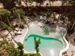 Casa Arkaana Eco Retreat - Solidaridad