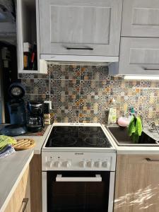 Appartements LE PTIT SAINT-FRONT : photos des chambres