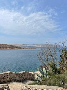 Studio apartman Pepi