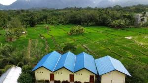 Bukit Lawang Accommodation & Orangutan Trekking, only book if you are trekking and transport with us