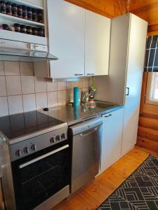 Vähäreinari, mökki Ylläksellä