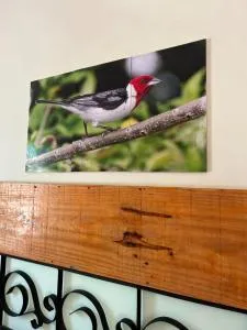 Vila albino - 蒙蒂达斯加梅莱拉斯