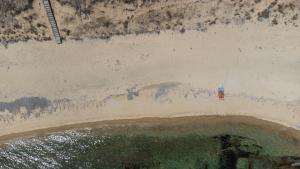 The Beach House