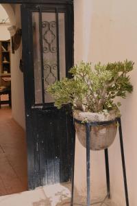 La casa de colores de Valentina