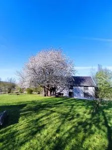 Gerestaureerde hoeve met zicht - 乌马尔