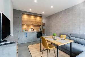 Urban Five #2 and #4 - Stylish One-bedroom apartments with Kitchen & Parking - Debelets
