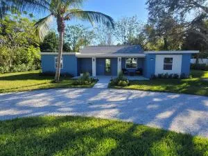 Jungle in the City! - Cloud Lake