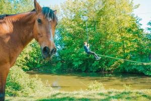 Ferienwohnung Sahel - Inselhof Fehmarn