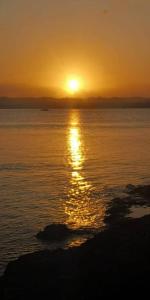 Apartamento CONCHA - Centro