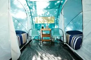 Camping Finca Planeta Sano - Naranjito