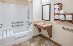 Queen Room - Hearing & Mobility Accessible - Roll In Shower room in My Place Hotel-Overland Park KS