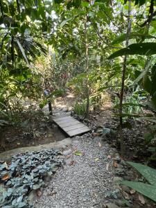 Casa Teka a Peaceful Stay Near Beach and Town