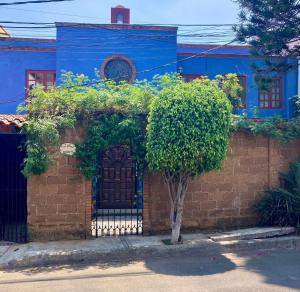 Casa azul las hamacas 1