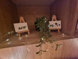 Sogno Blu alla Maddalena img17