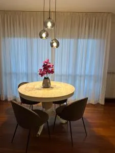 La Villa Apartment - 弗罗西诺内