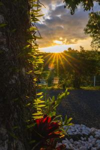 Bello Amanecer Guest House with Private Pool