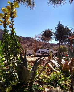 Departamentos Complejo Turístico Cruz Mendoza