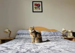 Central Stay with Free Parking Private Room in Shared Flat - 奥兰莫尔