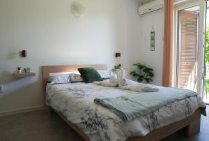 Champagne Apartments