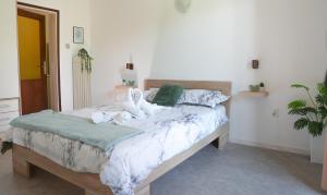 Champagne Apartments 
