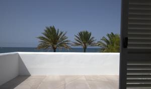 The beach is your garden