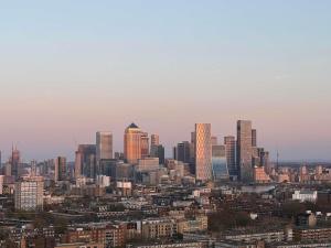 Luxury Skyline 1BR Apartment Central London