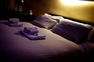 House of roses -Inalpi Arena-