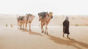 Youth Hotel - Chinguetti