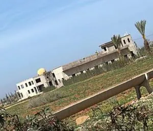 Palmera dar Zahra - Madagh