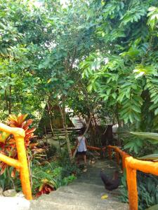 Grotto Gardens Homestay