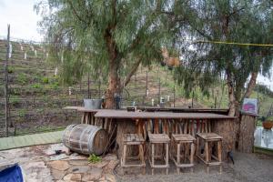 Lago Amor del Valle Glamping Grande