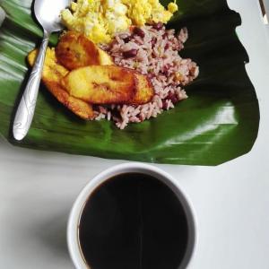 Somos Zapatón Catarata EL REY