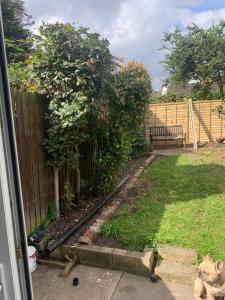 Pet Friendly Enclosed Sunny Garden in East Central Location close to local shops & pubs