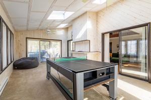 Game Room Fire Pit Dog Friendly