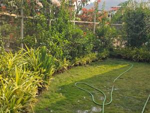 Sunshine villa no30