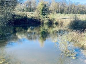 Maisons de vacances Gite de luxe avec piscine chauffee et SPA au coeur du Val de Loire - FR-1-381-615 : photos des chambres