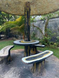 Neem Trees Unawatuna