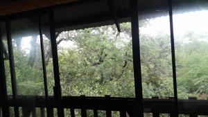 Rhulani Treetop Cottage