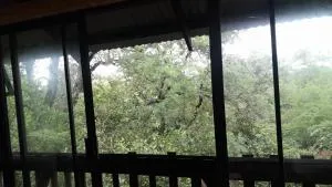 Rhulani Treetop Cottage - 赫克托斯普雷特