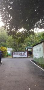 Tangkoko Macaca