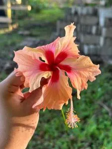 Silver Sand Hostel - Lívingston